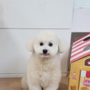 중동위생