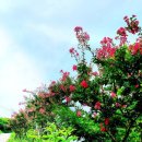 시례새터길 이미지