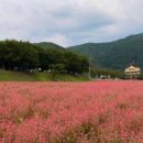 메밀정원 이미지