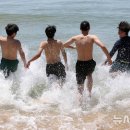 바다에풍덩