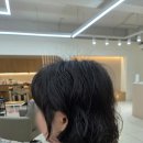 린다로니 이미지