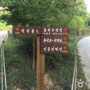 국립용화산자연휴양림 이미지