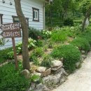 금오도황토민박 이미지