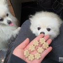 덴탈메인 이미지