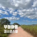 무점화장실 | [창원 동읍] 무점 마을 코스모스 길 : 가을 축제