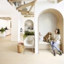 펫케어 동물병원 이미지