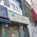 황동물병원 | 중구 묵정동 동물병원 황동물병원 위치 오는길 후기