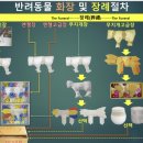무지개장