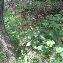 태기산농장 이미지