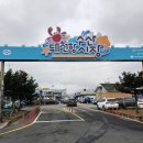 방어회의 계절! 대천항수산시장 회구입 후기