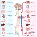 이진복한의원 이미지
