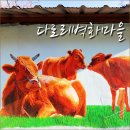 다로리인