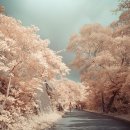 알기 쉬운 영어 회화 이미지