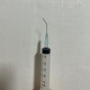 [신촌 세브란스치과병원] 매복사랑니발치 후기 •••
