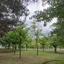 함지근린공원 이미지