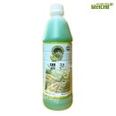 청솔 이미지