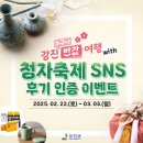 강진 | 강진반값여행 강진청자축제 후기