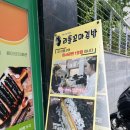 김밥나라 하남1호점 | [경기/하남] 미사 분식 리틀 꼬마김밥 미사강변1호점 후기