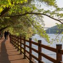 월영교 민속박물관 종합안내소 이미지