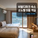 클린푸드온 | 홍천 비발디파크 숙소 소노벨 B동 클린형 객실 오션월드 할인 예약