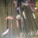 해삼영어조합법인 이미지