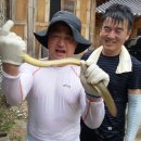 송원농장2 이미지