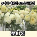 고운동_세종중앙타워 | [세종시꽃집] &lt;꽃다롱&gt; 방문 후기 고운동꽃집에서 만난 가장 예쁜 꽃다발