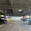 강창구찹쌀진순대 이미지