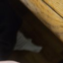 미호마트 이미지