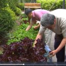 하동할머니경로당 이미지