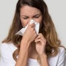 바이독한 이미지