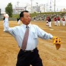 양양군 야구장 이미지