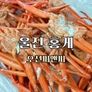 홍개 | 오션씨앤씨 박달홍게 수율 대박 홍게 솔직 후기