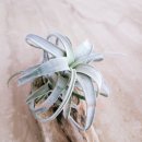 근형농장 이미지