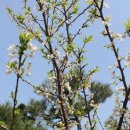 튼튼이농장 이미지