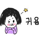 롱다리디스코