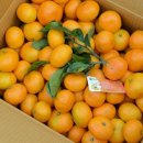 이미순농장 이미지