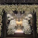 웨딩프로포즈 | 구로 명품웨딩 프로포즈 웨딩홀 방문 후기 (리모델링 후 정말 화려했던 홀)+견적