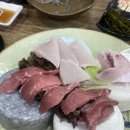 아싸회 | [쏘주100병] 아싸회 ! 재재재재방문 후기🐟🐠🐡