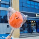 5월 뒤늦은 일상_제주 행복일기, 돌아가고 싶군!