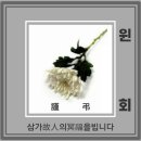 ※《김진복 회원 父親喪 訃告》※ 이미지