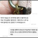 제기31 | 번개장터 분쟁조정 10% 환불로 끝낸 후기 (판매자 입장, 신청방법)