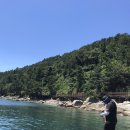 금오도 초원의 집 | 20220704 내부인과 함께한 1박2일 금오도 무늬오징어 에깅낚시