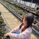 금밭농장 이미지