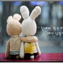 잔울림 이미지