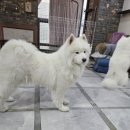 겨울이 머무는 집 이미지