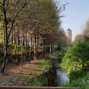 상인초등학교+사랑샘유치원 이미지