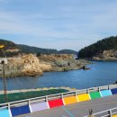 볼무섬 Daum카페