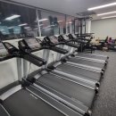 가오짐 피티샵 이미지