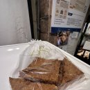 빵드모렐라 | 현미빵 김수민 건강한 빵에 관한 제야의 고수